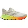 Image de Chaussures de running Reebok Floatzig Adventure 1 100208168 Beige 44,5