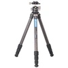 Image de LEOFOTOTREPIED RANGER LS-254C + ROTULE LH-30