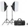 Image de Kit 2 Studio Flash Godox MS300V-F Noir et blanc