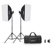 Image de GODOXSTUDIO FLASH KIT MS 300 V-F