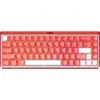 Image de Ray68 HE Magnetic Keyboard