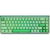 Image de Ray68 HE Magnetic Keyboard
