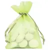 Image de Sachet de 10 Bourses organdi à lacet, Vert CH2462-38
