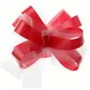 Image de Sachet de 5 noeuds automatiques tulle rouge 70178-7