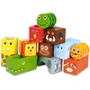 Image de Cubes sonores animaux de la jungle Vilac-2101