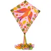 Image de Cerf-Volant : Birdy DJ02140