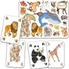 Image de Jeu d'observation et de rapidité Zanimatch
