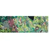 Image de Puzzle 1000 pièces : Gallery : Hiboux et oiseaux Djeco-DJ07644