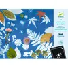 Image de Recharge pour coffret Cyanotype : Papier pour Cyanotype Djeco-DJ09338