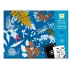 Image de Kit cyanotype : Starter kit Djeco-DJ09339