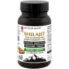Image de Vecteur Santé Shilajit Pur 60 gélules