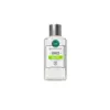 Image de BERDOUES eau de Cologne Thé Vert 480ml