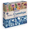 Image de Atelier Cyanotype Herbier Sentosphère-839