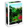 Image de Puzzle 1000 pièces : La cascade - Le douanier Rousseau Sentosphère-7006