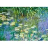 Image de Puzzle 1000 pièces : Nymphéas - Claude Monet Sentosphère-7015