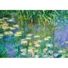 Image de Puzzle 1000 piÃ¨ces : NymphÃ©as - Claude Monet