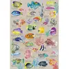 Image de Puzzle 500 pièces : Poissons Exotiques Sentosphère-7314