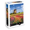 Image de Puzzle 1000 pièces - Champs de tulipes - Hollande Sentosphère-7351