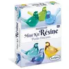 Image de Mini kit résine - petits oiseaux Sentosphère-8382