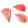 Image de Sachet de 90 plumes 4cm avec perles nacrées, Rose DIn27sc10 06