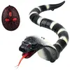 Image de Cobra radiocommandé