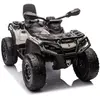Image de Vehicule Electrique Quad Outlander 10,8V