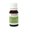 Image de Pranarom lavande vraie huile essentielle bio 10ml