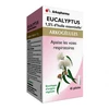 Image de Arkopharma Arkogelules Eucalyptus 45 gélules