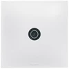 Image de Prise à encastrer neptune prise tv simple neptune blanc blanc 1 pièce(s) à encastrer monobloc 1 tv standard - legrand