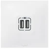 Image de Prise à encastrer neptune blanc 1 pièce(s) prise 2x chargeur usb 15w neptune blanc à encastrer monobloc 1 usb standard - legrand