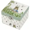 Image de Boîte à bijoux musicale cube Pierre Lapin libellule