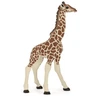 Image de Figurine Girafe : Bébé 1 Papo-50100