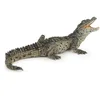 Image de Figurine Crocodile : Bébé Papo-50137