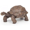 Image de Figurine Tortue des Galapagos Papo-50161