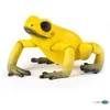 Image de Figurine Grenouille Equatoriale Jaune Papo-50174