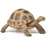 Image de Figurine Tortue d'Hermann Papo-50264