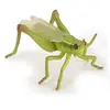 Image de Figurine Sauterelle Papo-50268