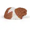 Image de Figurine Cochon d'Inde Papo-50276