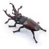 Image de Figurine Lucane Papo-50281