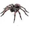 Image de Figurine Araignée commune Papo-50292