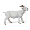 Image de Figurine Chèvre blanche Papo-51144