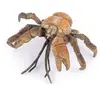 Image de Figurine Crabe de cocotier Papo-56020