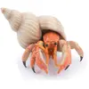 Image de Figurine Bernard l'hermite Papo-56054