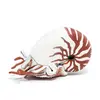 Image de Figurine animal marin : Nautile Papo-56061
