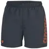 Image de Short de bain Arena Fundamentals Logo R 006444-590 Gris XL