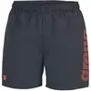 Image de Short de bain Arena Fundamentals Logo R Gris XL 006444-590