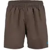 Image de Short de bain Arena Fundamentals R Marron M 006443-681