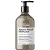 Image de Shampooing Absolut Repair Molecular L'Oréal Professionnel 500ML