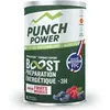 Image de Boisson énergétique courte durée Punch Power Vert 500 g F4002718