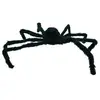 Image de Araignée géante velue noire de 80 cm FETE-10200